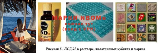 индика Покачи