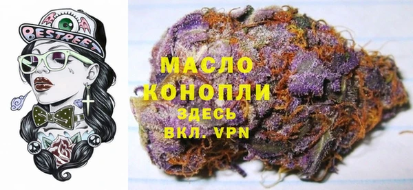 индика Покачи