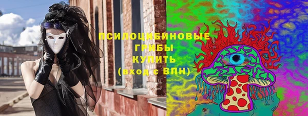индика Покачи