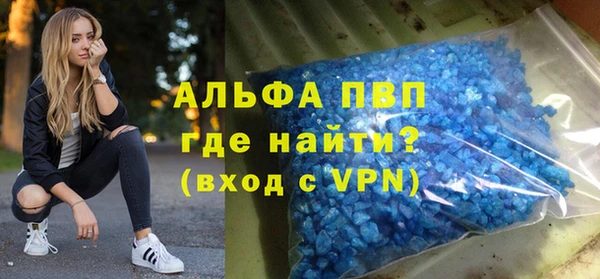 индика Покачи