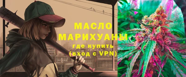 индика Покачи