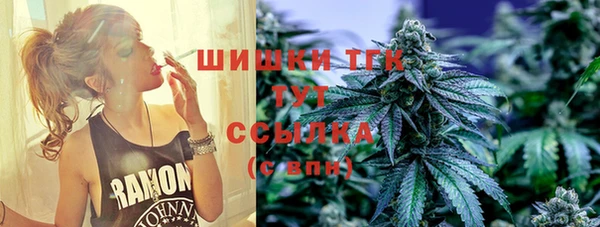 индика Покачи