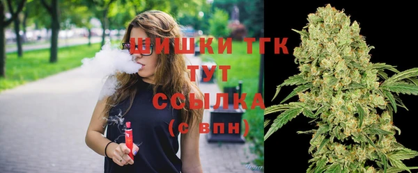 индика Покачи