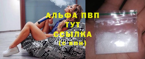 индика Покачи