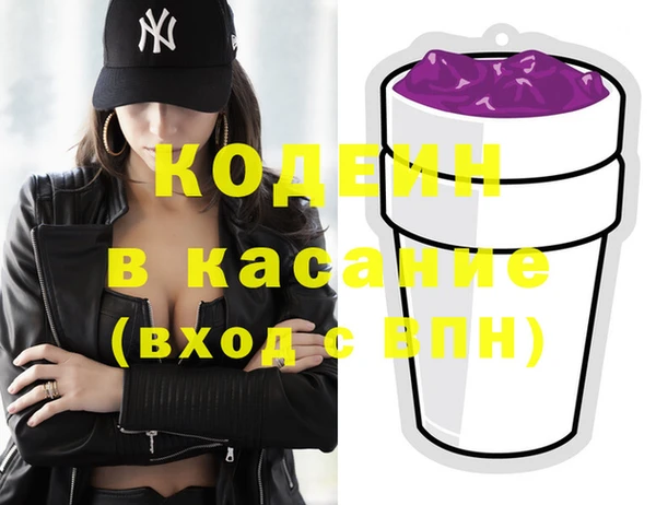индика Покачи