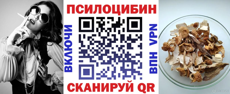 Галлюциногенные грибы Psilocybine cubensis  Собинка 